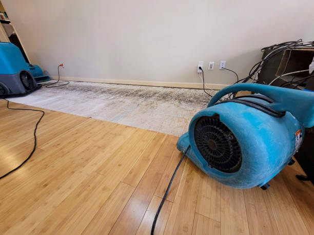 Professional Flood Damage Cleanup technician working in Manning, IA